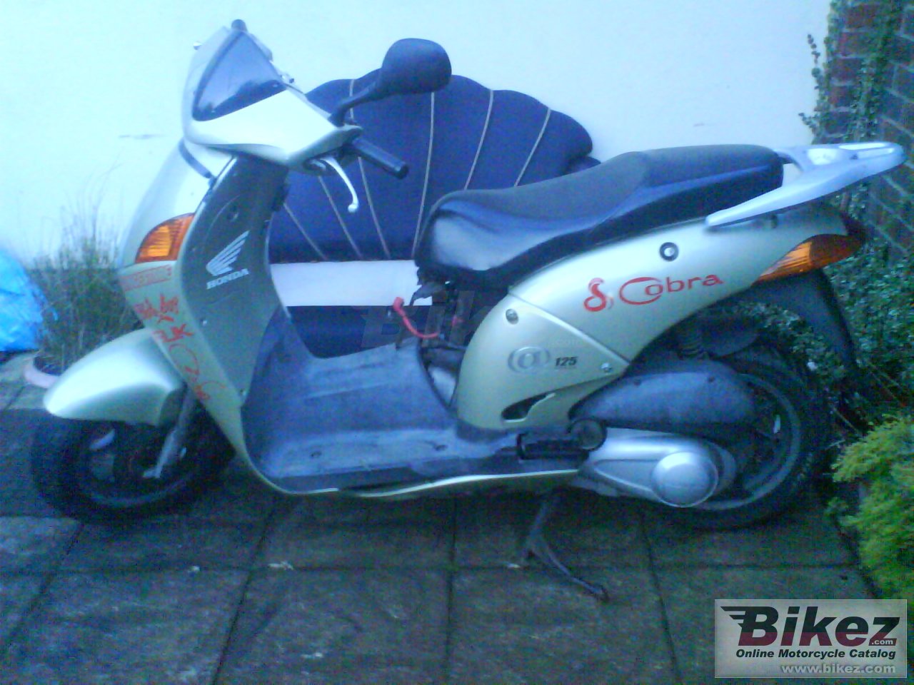 Big nymous user. @ 125 picture and wallpaper from Bikez.com